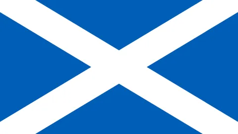 德天空：今夏希克或离勒沃库森加盟英超，转会费约3000万欧